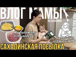 Собираем Сахалинскую посылку | хаотичные кормления грудью в 1,1 | готовим ужин  | Влог мамы (68)