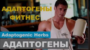 АДАПТОГЕНЫ И ФИТНЕС АПТЕЧНАЯ ФАРМА  Adaptogenic Herbs