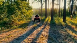 ОБОРОТЕНЬ УСТРОИЛ ОХОТУ на Дениса и Диану в лесу - Nerf Gun Game