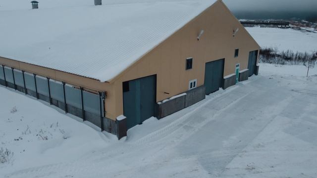 Коровник привязного содержания на 280 голов КРС. Строительство выполнял ООО "Ваш Ангар"