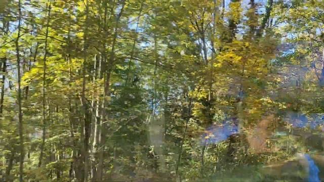 GOLDEN PASS LINE Switzerland Montreux - Montbovon - Gruyeres October 2021 4K смотреть онлайн