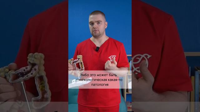 ⚠️ Проблема вздутия живота | Кинезиолог Александр Пискаев #кинезиология #вздутиеживота #кишечник
