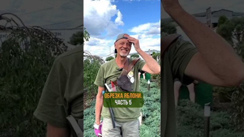 ОБРЕЗКА ЯБЛОНИ. Часть 5