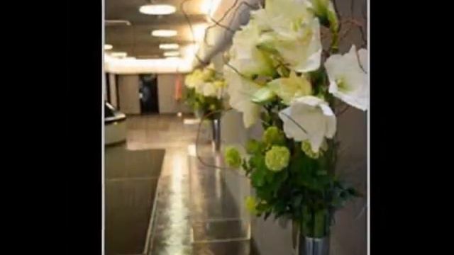 Plaza Hollandi Events