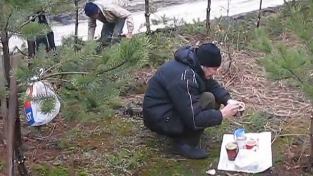 Чистка леса смотреть онлайн