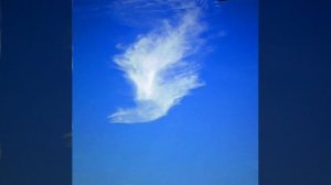 @ Алёна Росс "Прощайте,голуби!".