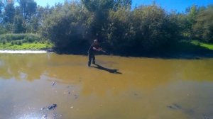 Рыбалка на волге в Астраханской области