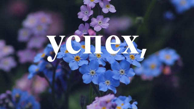 Пожелания тестю! смотреть онлайн