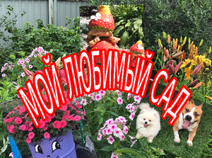 Мой прекрасный сад.