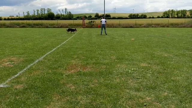 Qualifier Austria'17  Andrea & Cosmo.mp4