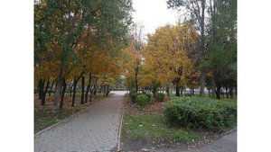 Осень