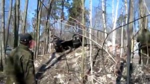 Лёгкий каракат 4WD