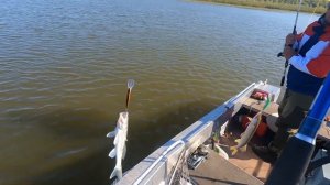 Рыбалка на Волге в октябре.