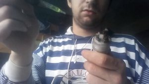 самодельный мехмод