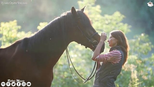 Самая красивая мелодия на свете! музыка для души! лечебная музыка для сердца и сосудов, релакс #2 смотреть онлайн