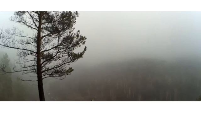 туманный лес, скалистая местность, поход на гору, пленочная фотография смотреть онлайн