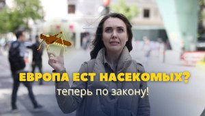 НАСЕКОМЫЕ В ЕДЕ теперь разрешены официально! Польза или вред? Протеин или очередная модная чушь?
