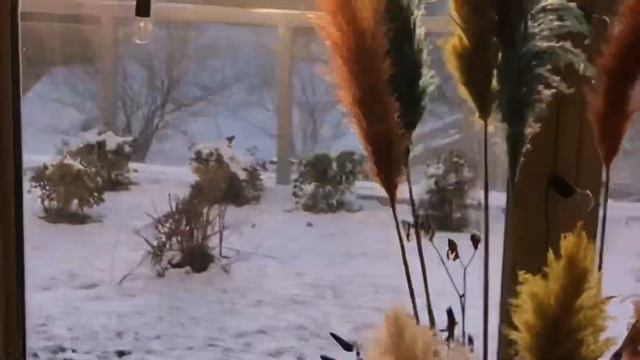 WEDDING VLOG #3: Гавайская свадьба зимой | 8 гостей и одно веселье | Тропическая свадьба в декабре смотреть онлайн