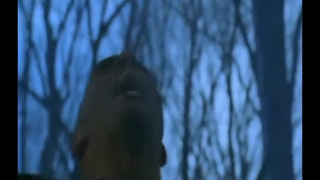 Славяно-арийские  клипы Дмитрий Беранже - 001.MP4