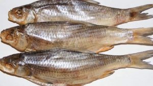 Вяление рыбы как бизнес идея