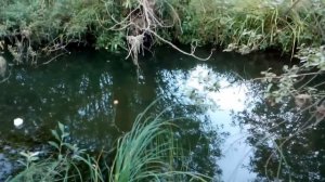 РЫБАЛКА КОСЫНКАМИ