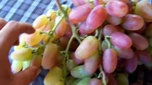 Тройка Крайнова.