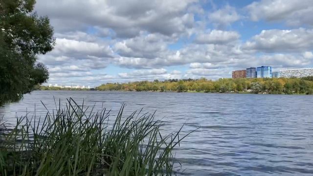 Видео природы?Не совсем влог?Парк «Братеевская пойма» смотреть онлайн