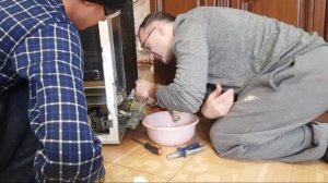 Не Работает Посудомойка