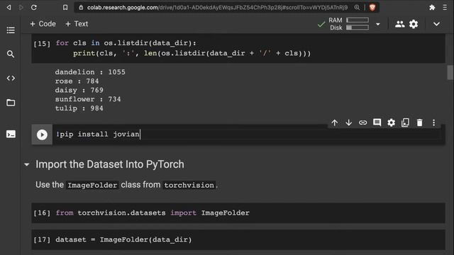 Build a Deep Learning Project with Python & PyTorch From Scratch | Hands-on Tutorial
