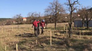 Дешёвая опалубка из рубероида для буронабивных свай. Стройка день 2