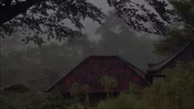 Звуки дождя и грома для сна - Пусть звук дождя смоет твою печаль Шум дождя на крыше в туманном лесу смотреть онлайн