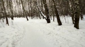 питбайк регул мото пилот зимний выезд