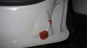 Антикоррозийная обработка дверей Ford Kuga