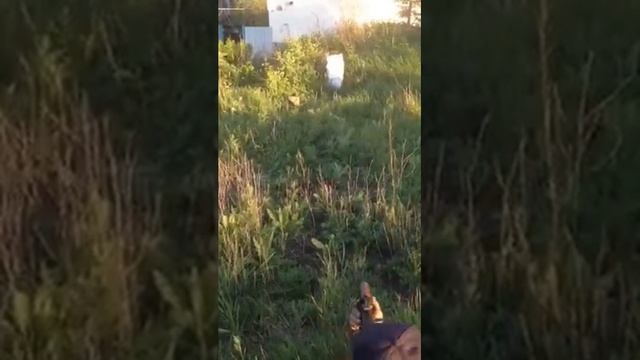 Отстрел бронеплиты SAPI с кевларовым пакетом IBA Interceptor смотреть онлайн