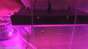 Гроубокс под ключ, Готовый стелс - шкаф для ваших растений. Гроубокс своими руками.