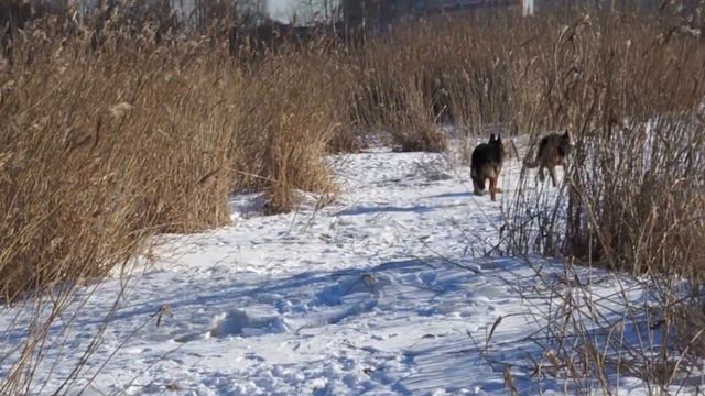 20170222133129 смотреть онлайн