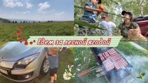 Собираем ЯГОДКИ / Жарим КУПАТЫ / Лев ПОМЫЛ ВЕСЬ ДОМ