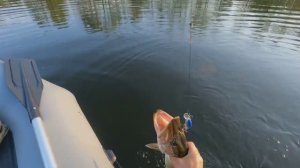 За ЩУКОЙ на вечерней зорьке.