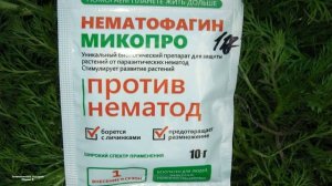 НЕМАТОДЕ - НЕТ! В ПРОДАЖЕ ПОЯВИЛОСЬ НОВОЕ СРЕДСТВО ЗАЩИТЫ РАСТЕНИЙ ПРОТИВ НЕМАТОД .