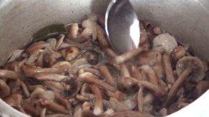 Маринованные опята на зиму! Домашний рецепт +РЕЦЕПТ ГРИБНОЙ ИКРЫ ИЗ ОПЯТ!