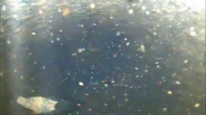 Видеоинспекция скважины на воду