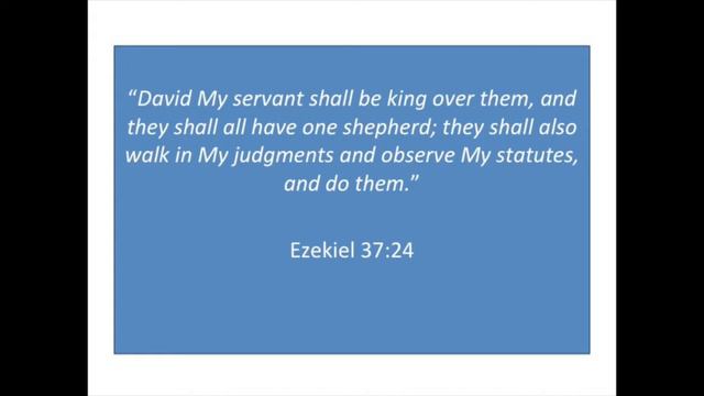 Whose tzitzit are you grasping? смотреть онлайн