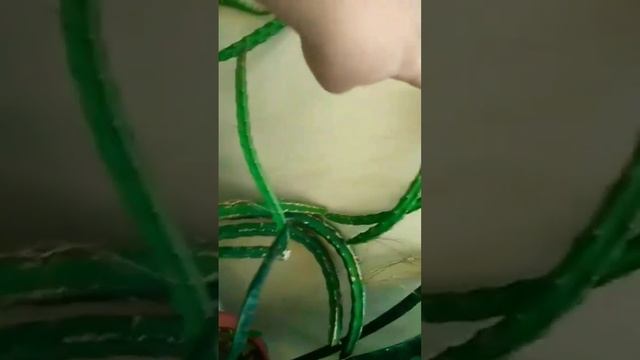 ?Selenicereus Grandiflorus?Queen of the night blooming large-flowered sweet-scented vanilla cactus? смотреть онлайн