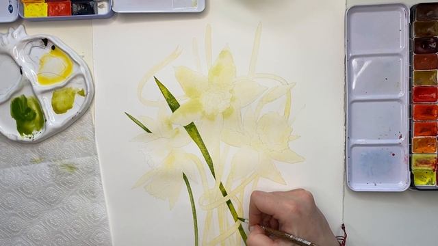 Рисуем нарциссы смотреть онлайн