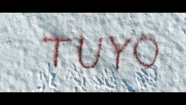 NARCOS - TUYO - Rodrigo Amarante - fingerstyle guitar cover by soYmartino смотреть онлайн