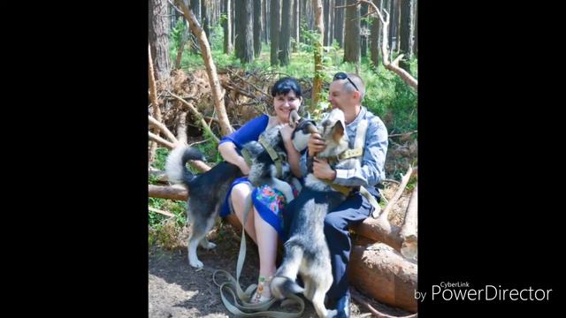 Любимому с днем рождения. смотреть онлайн