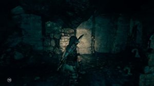 Shadow of the Tomb Raider_ Деревня Косумель - оставшиеся секреты