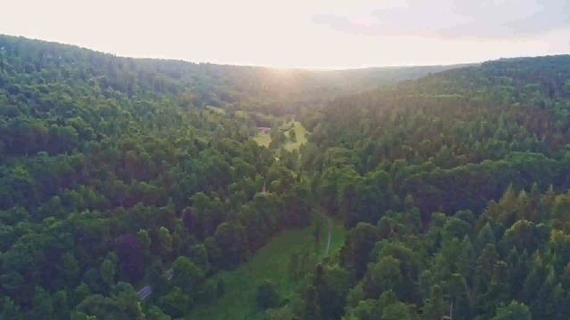Лирическая песня под гармонь./Lyrical song with harmonica. Sings Alexey Gorokhov смотреть онлайн