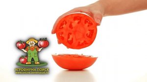 Томат Коралловый Риф F1