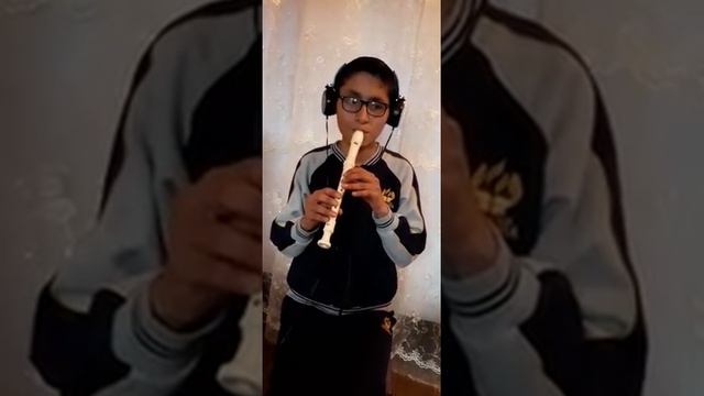 menuet n° 113 Johann Sebastian Bach смотреть онлайн